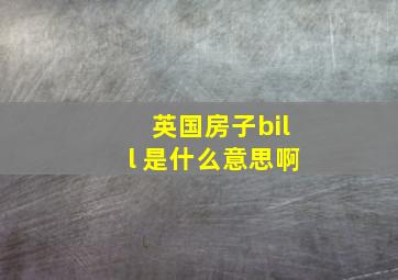 英国房子bill 是什么意思啊